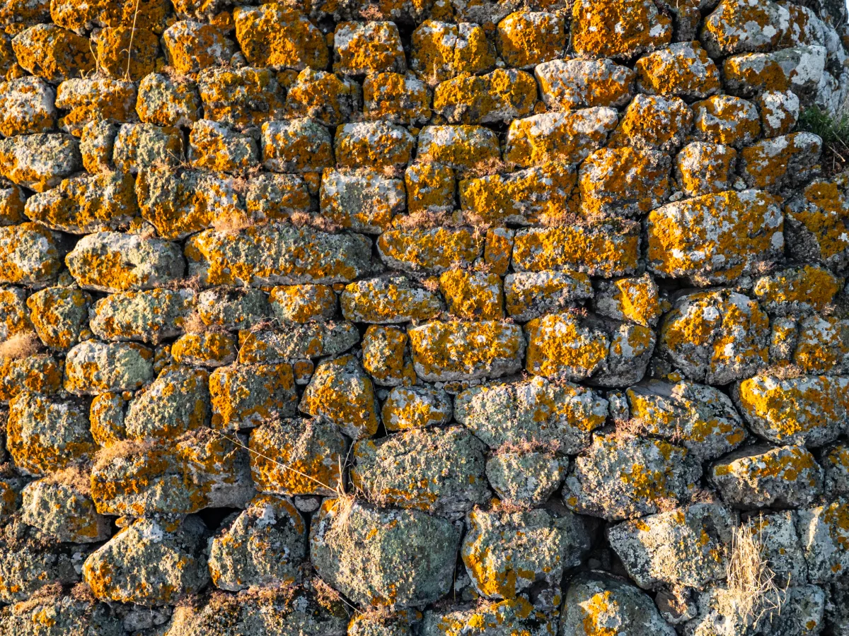 NURAGHE TOLINU